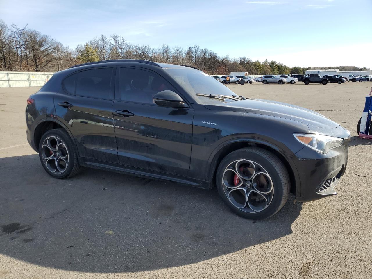 2022 Alfa Romeo Stelvio VIN ZASPAKBN0N7D47110 Copart auction photo, front end / minor dent/scratches damage thumbnail 4
