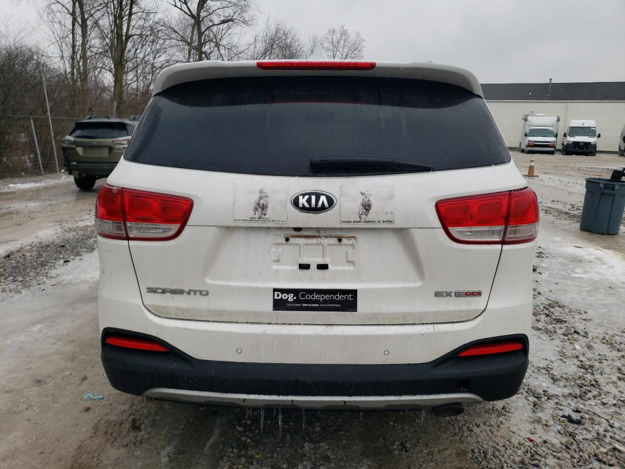 2016 KIA Sorento VIN 5XYPH4A15GG014955 Copart auction photo, minor dent/scratches damage thumbnail 6
