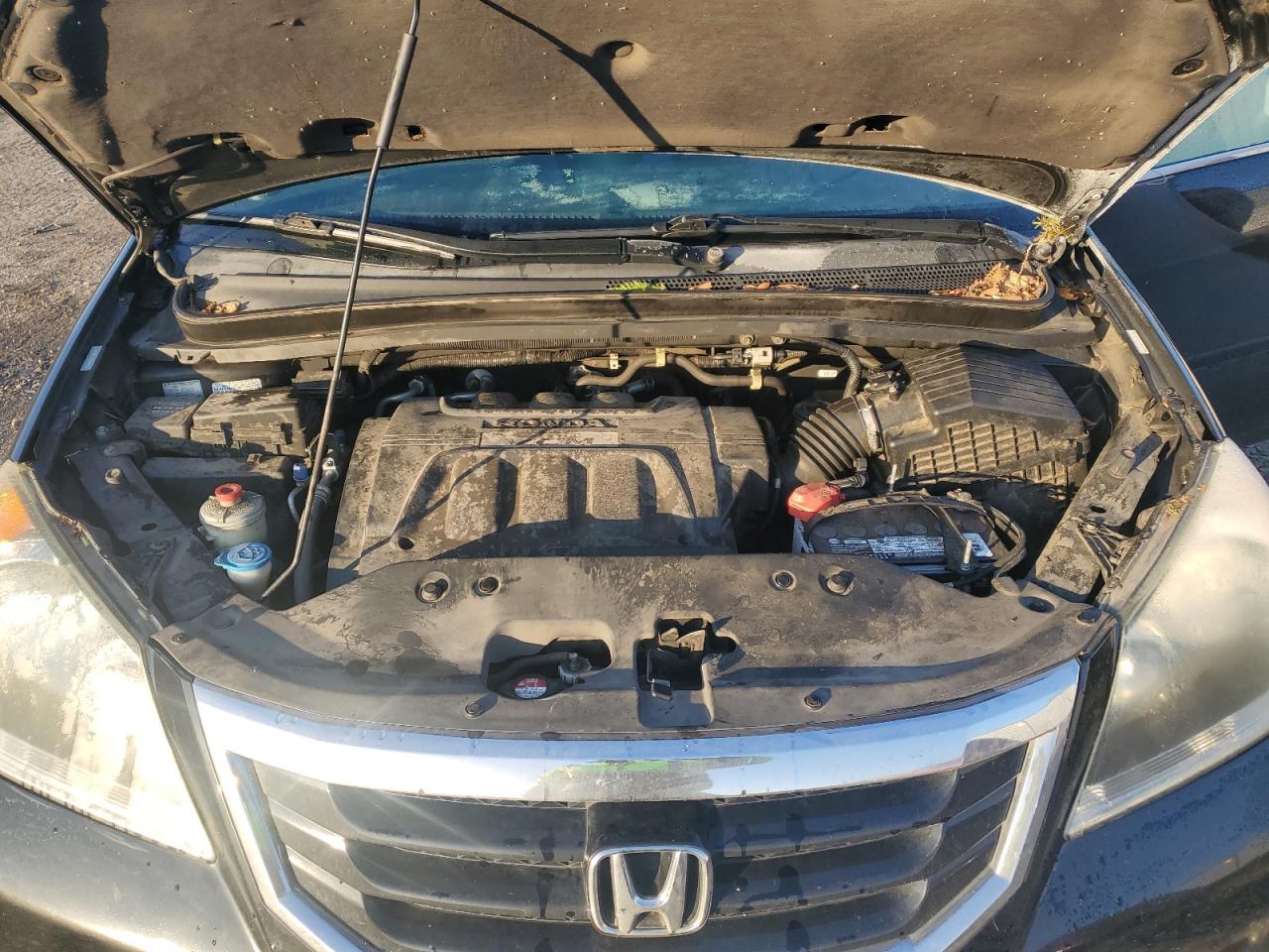 2010 Honda Odyssey VIN 5FNRL3H72AB101447 Copart auction photo, side damage thumbnail 12