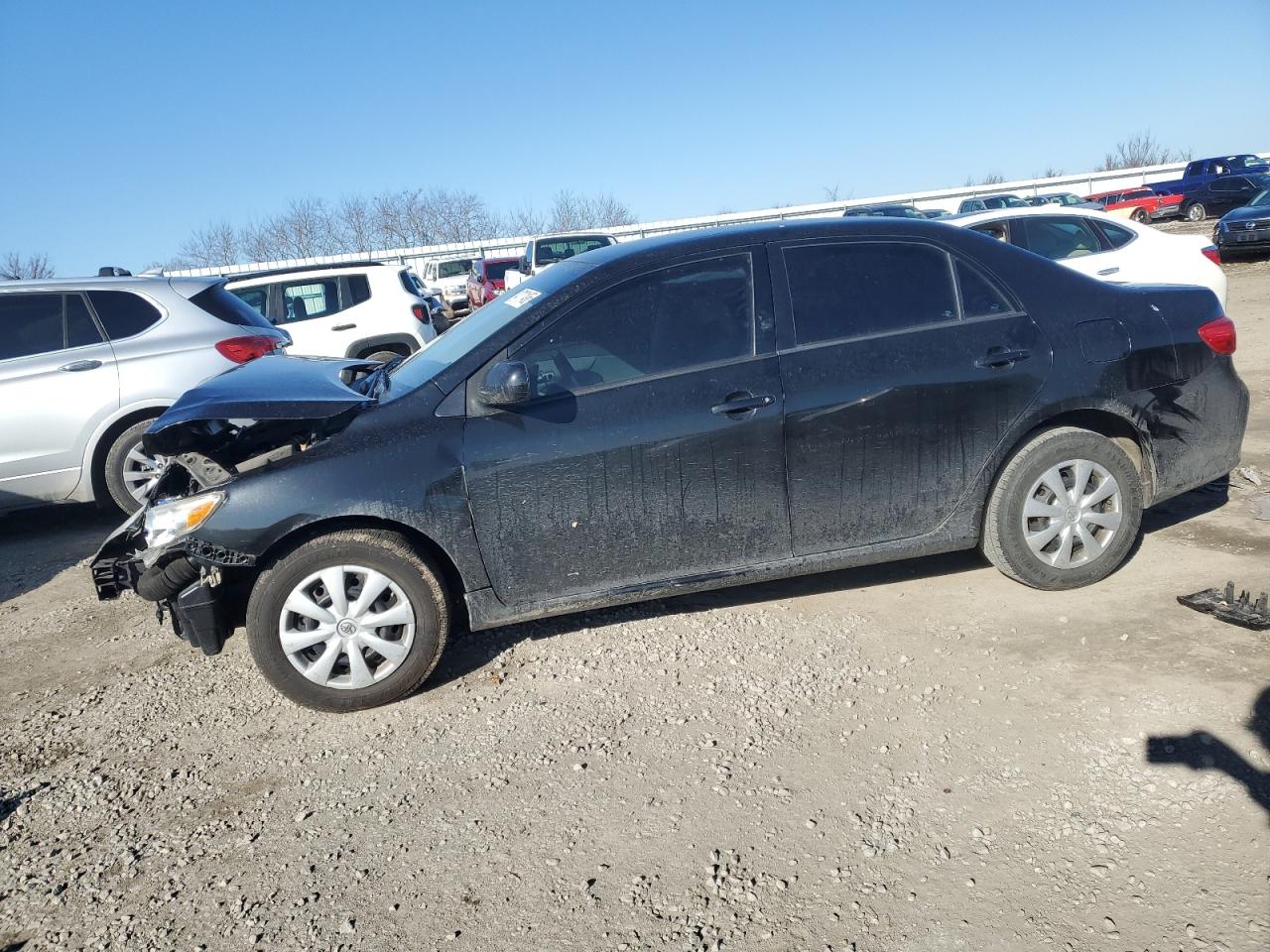 2010 Toyota Corolla VIN 1NXBU4EE6AZ217602