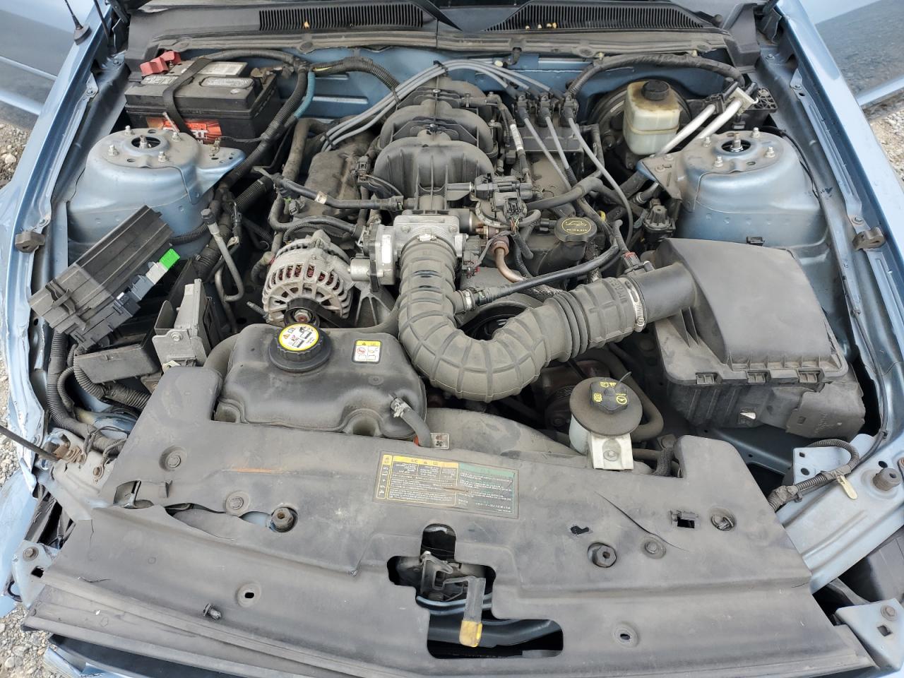 2006 Ford Mustang VIN 1ZVFT80N865131598 Copart auction photo, side damage thumbnail 13