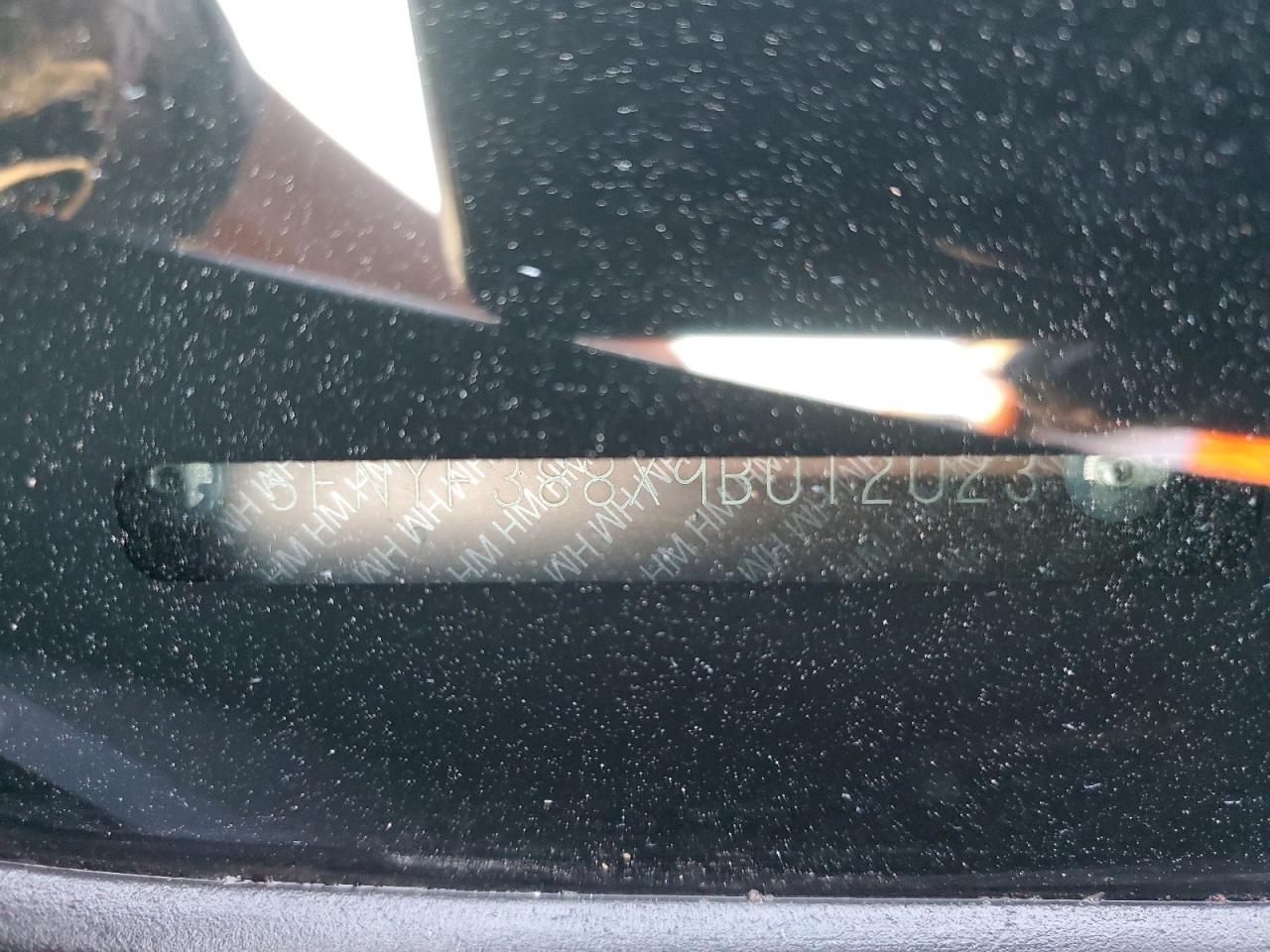 2009 Honda Pilot VIN 5FNYF388X9B012023 Copart auction photo, side damage thumbnail 13