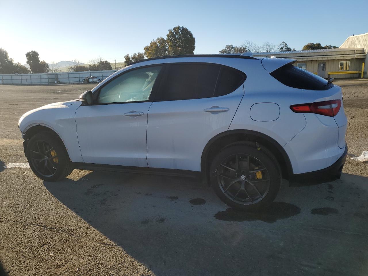 2020 Alfa Romeo Stelvio VIN ZASPAJAN6L7C76861 Copart auction photo, all over damage thumbnail 2
