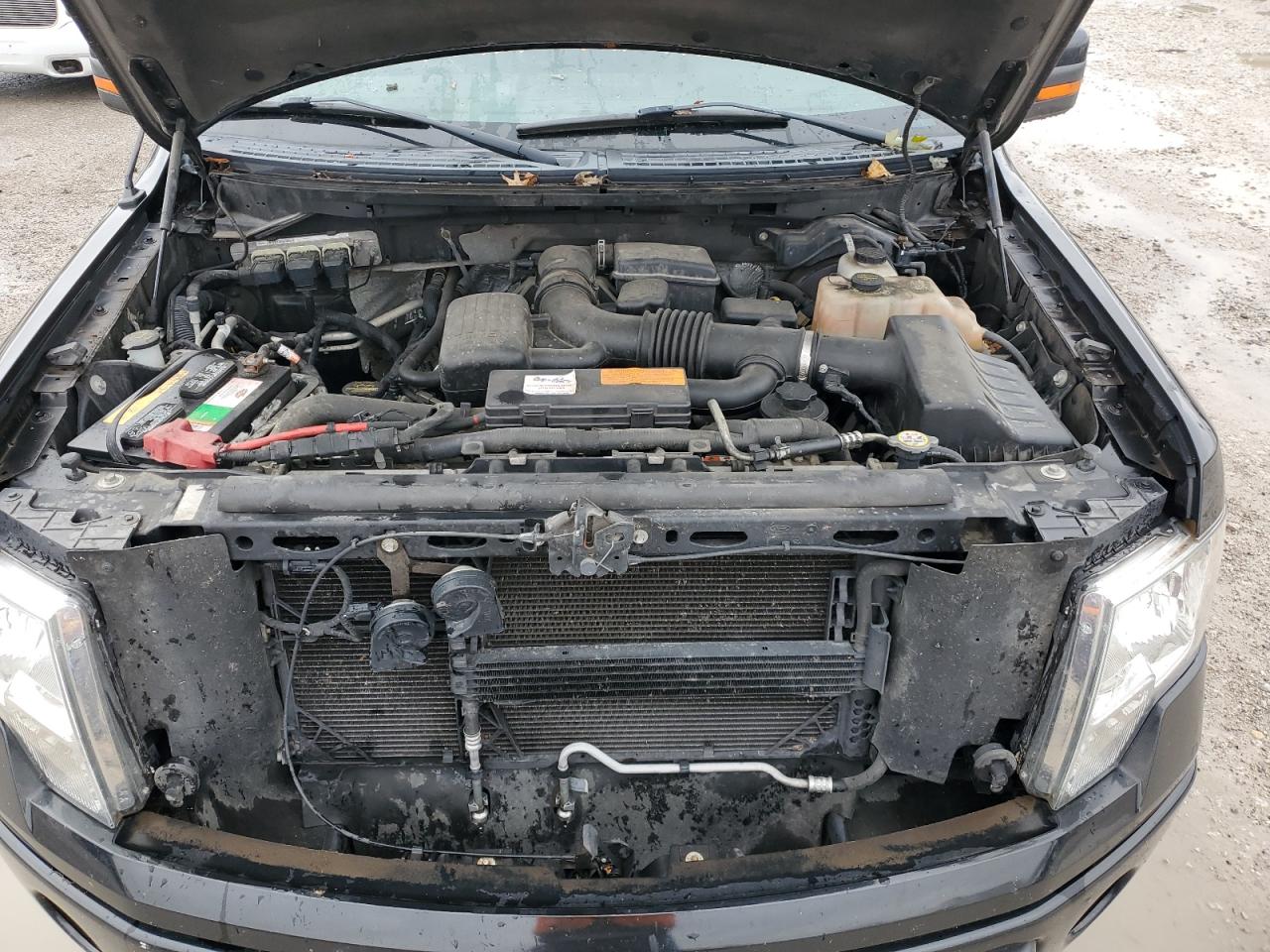 2010 Ford F-150 VIN 1FTFW1EV6AKE79257 Copart auction photo, top/roof / minor dent/scratches damage thumbnail 11