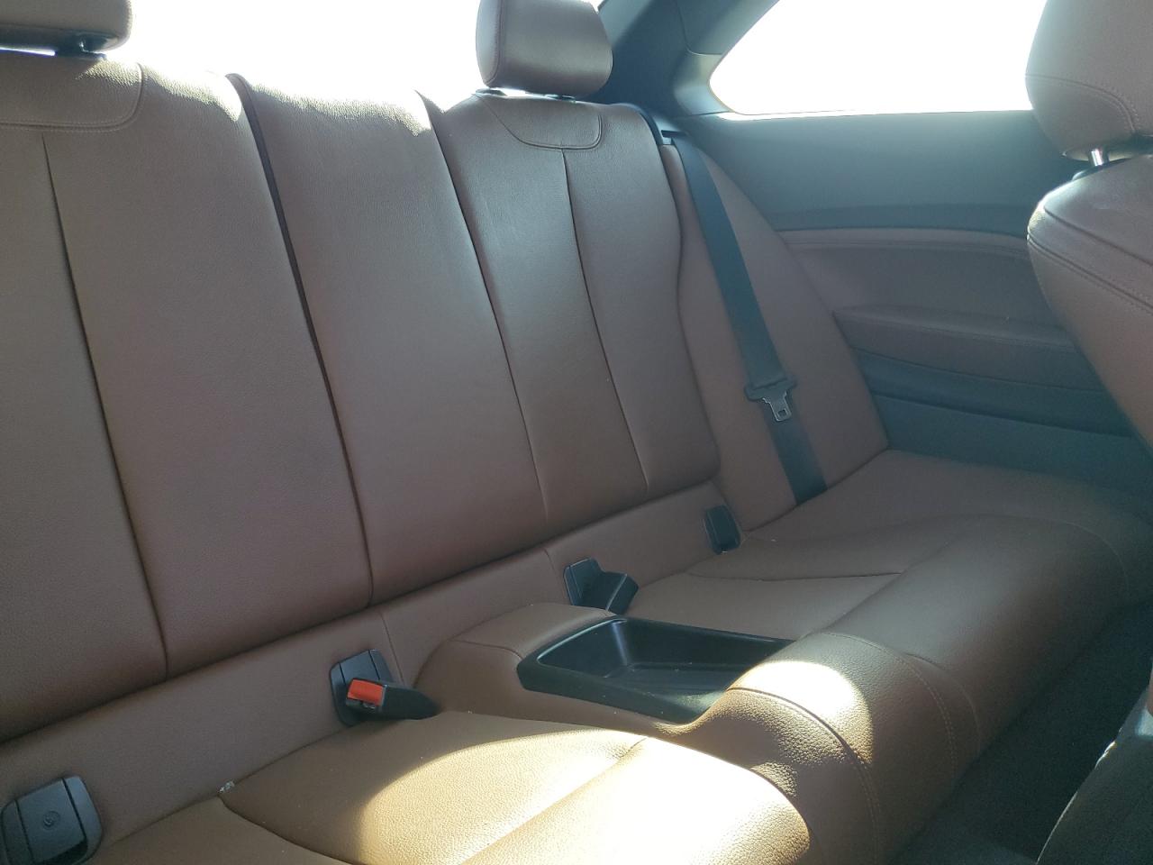 2016 BMW 2er VIN WBA1F9C55GV742306 Copart auction photo, all over damage thumbnail 10