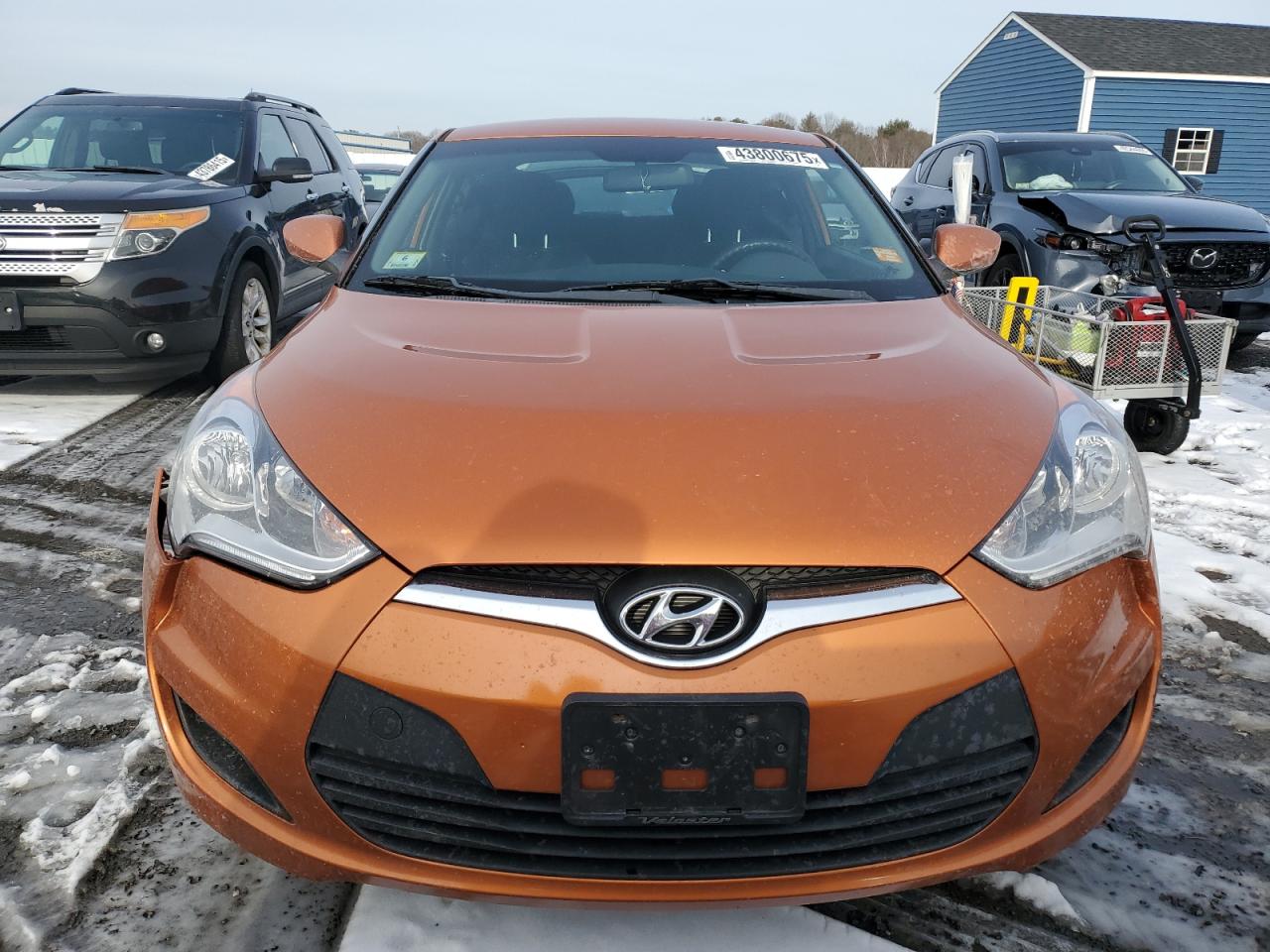 2016 Hyundai Veloster VIN KMHTC6AD4GU302575 Copart auction photo, side damage thumbnail 5