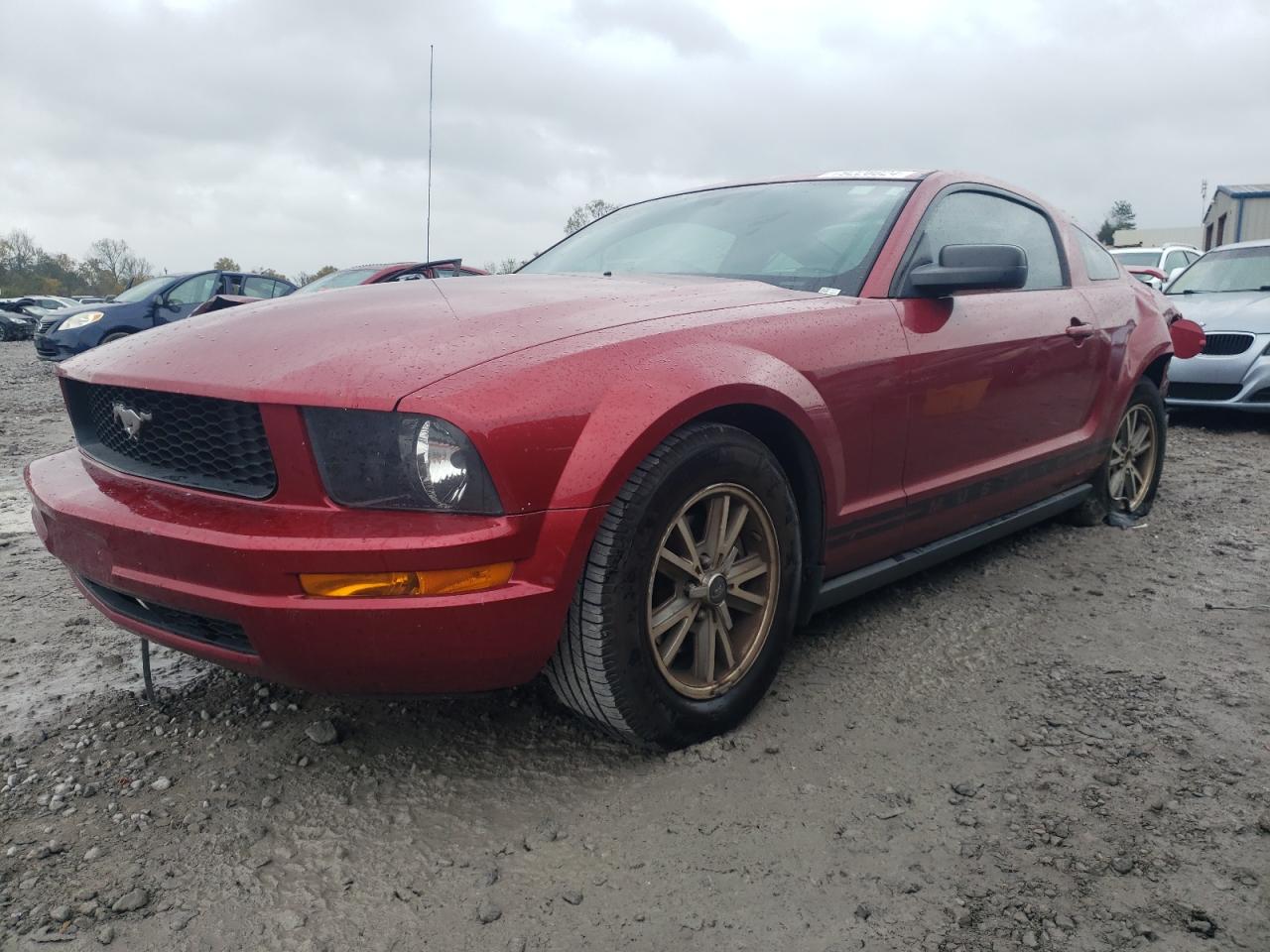 2005 Ford Mustang VIN 1ZVFT80N355223488