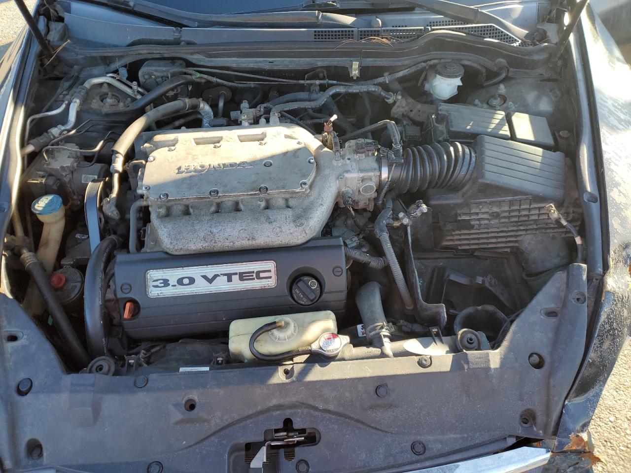 2005 Honda Accord VIN 1HGCM66515A049248 Copart auction photo, front end / minor dent/scratches damage thumbnail 12