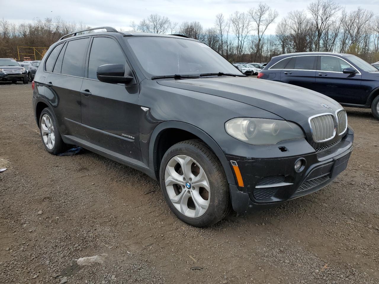 2012 BMW X5 VIN 5UXZW0C55CL667712 Copart auction photo, side damage thumbnail 4