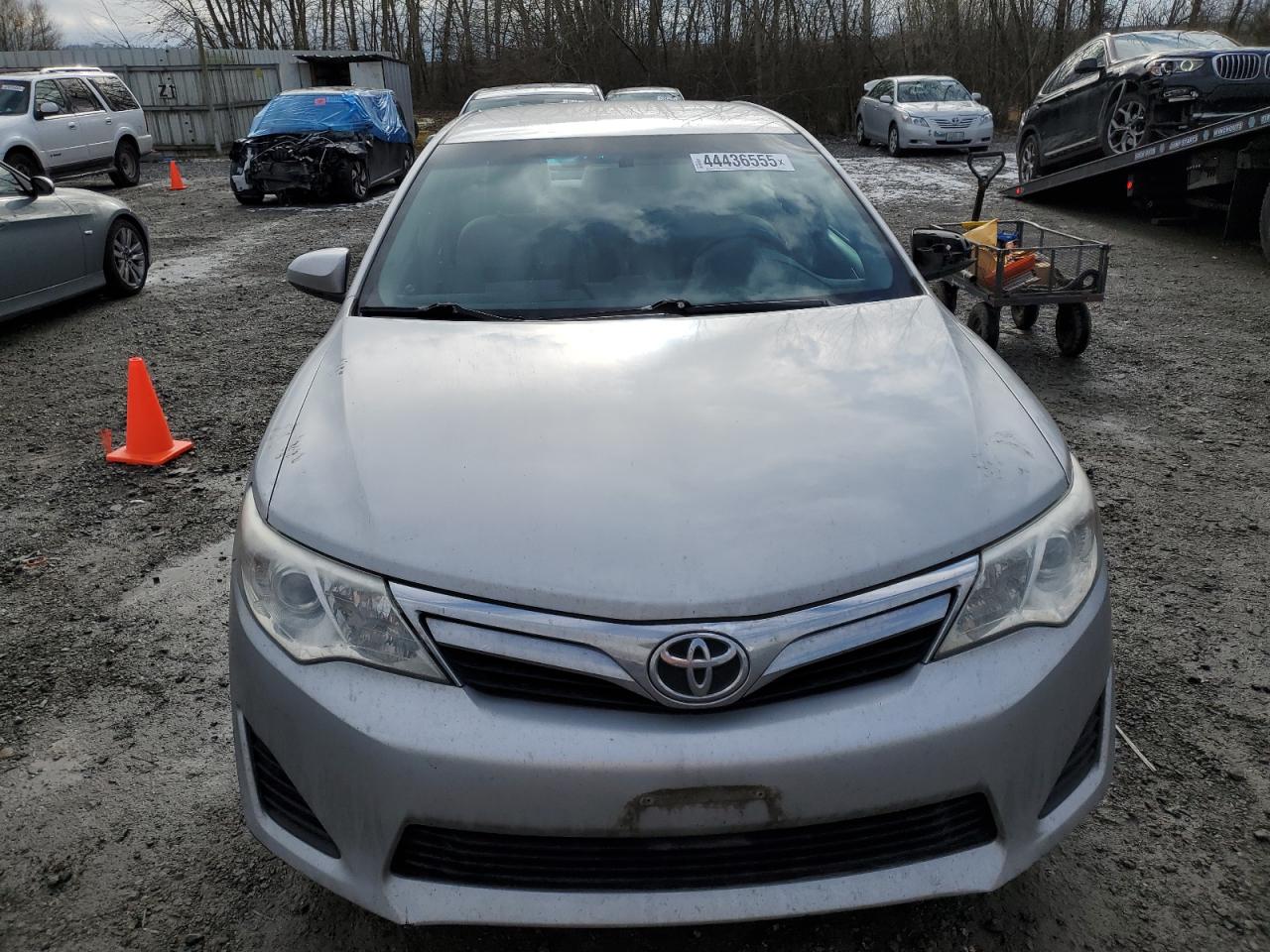 2013 Toyota Camry VIN 4T1BF1FK7DU210479 Copart auction photo, side damage thumbnail 5