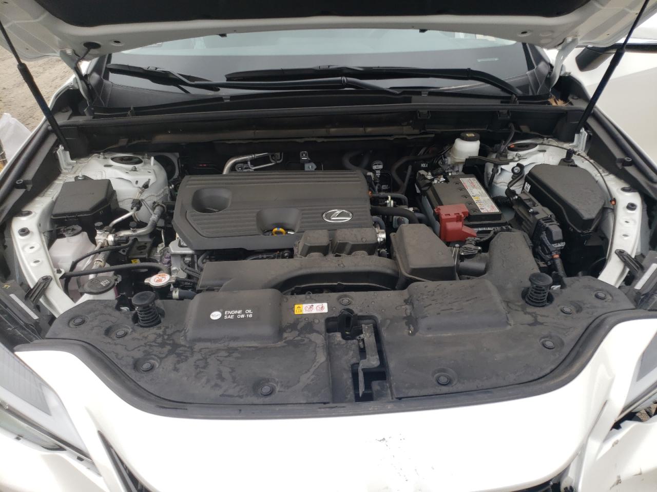 2024 Lexus NX VIN JTJGDCAZ1R2009466 Copart auction photo, undercarriage / side damage thumbnail 12