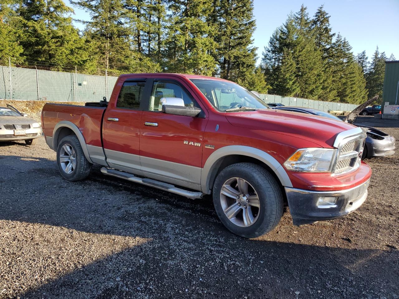 2010 Dodge RAM VIN 1D7RV1GT8AS124446 Copart auction photo, rear end damage thumbnail 4