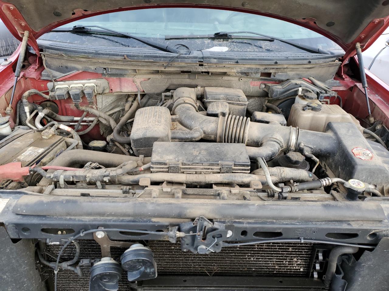 2010 Ford F-150 VIN 1FTFW1EV7AKA77117 Copart auction photo, front end damage thumbnail 11
