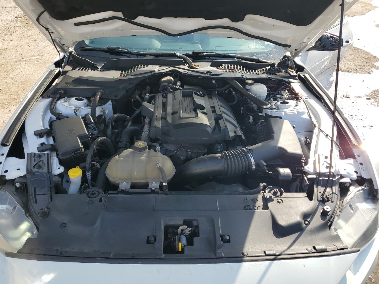 2019 Ford Mustang VIN 1FATP8UH1K5181614 Copart auction photo, undercarriage / all over damage thumbnail 11