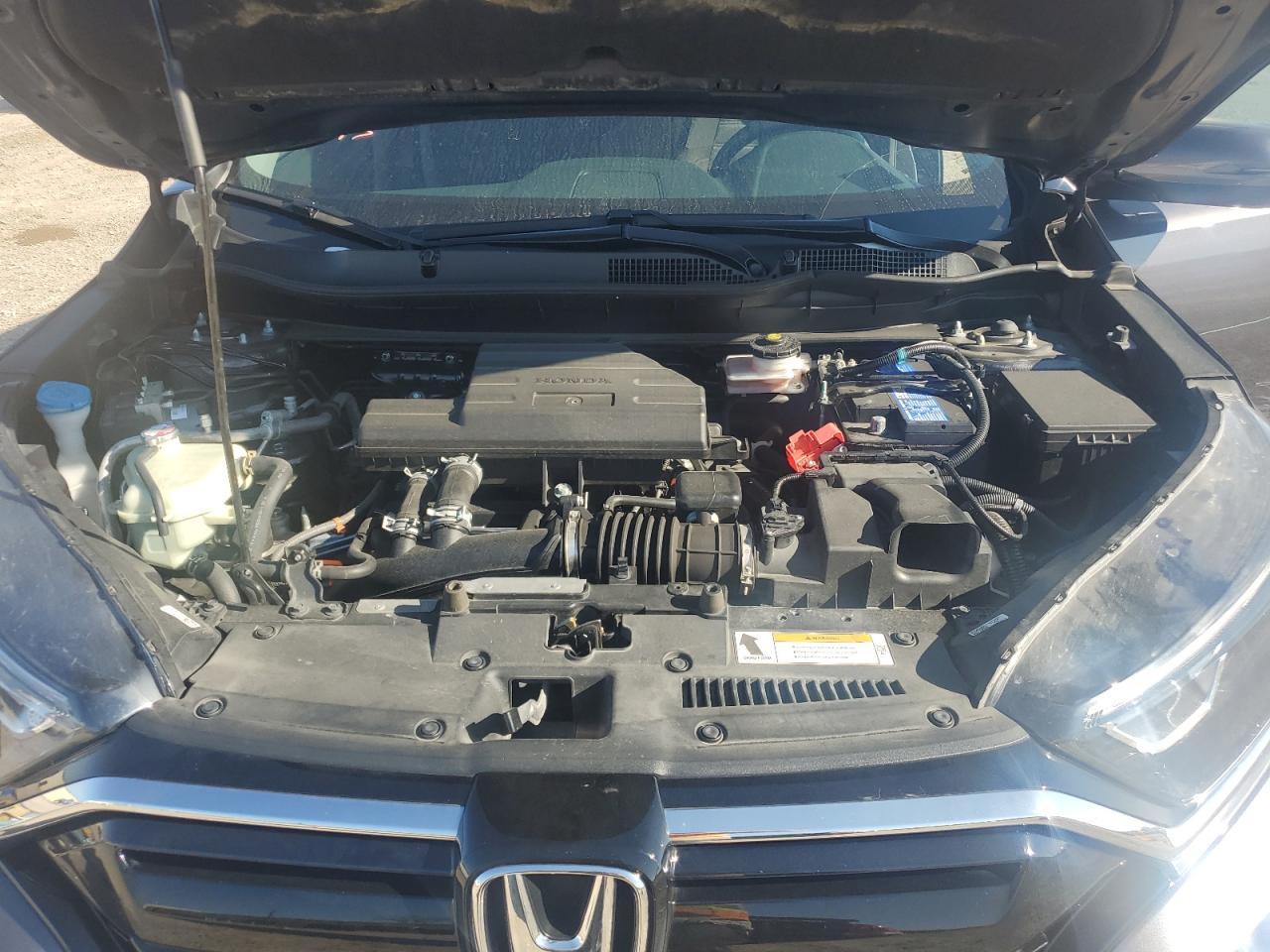 2021 Honda CR-V VIN 5J6RW1H59ML010083 Copart auction photo, side damage thumbnail 12
