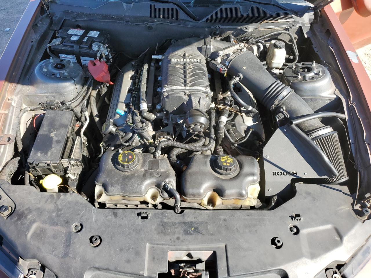 2011 Ford Mustang VIN 1ZVBP8CF1B5135171 Copart auction photo, vandalism / front end damage thumbnail 12