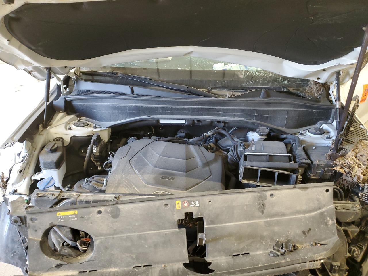 2020 Hyundai Palisade VIN KM8R4DHE7LU039552 Copart auction photo, biohazard/chemical / rollover damage thumbnail 12