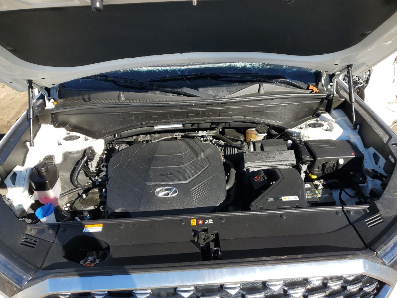 2021 Hyundai Palisade VIN KM8R7DHE0MU210831 Copart auction photo, side / rollover damage thumbnail 14
