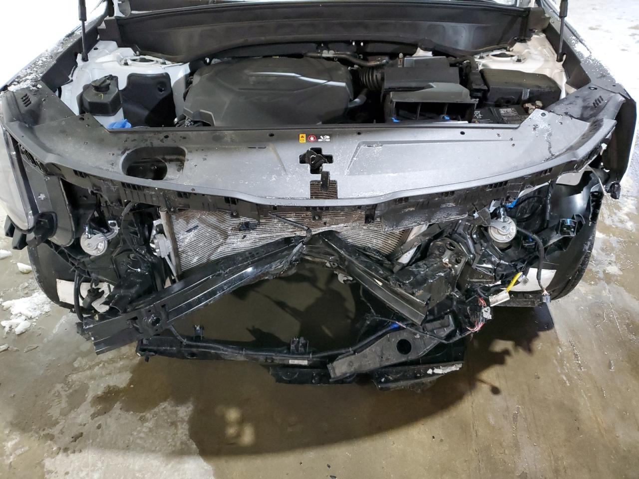 2024 KIA Telluride VIN 5XYP5DGC3RG483384 Copart auction photo, front end damage thumbnail 12
