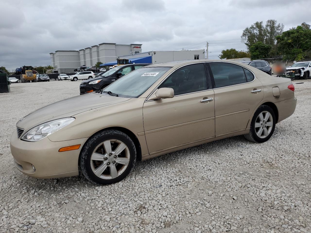 2005 Lexus ES VIN JTHBA30G255107337