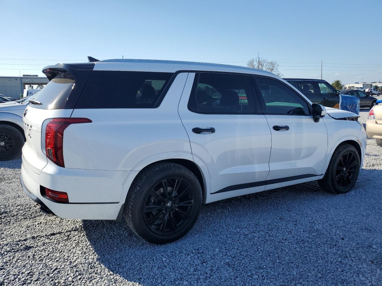 2020 Hyundai Palisade VIN KM8R54HE2LU141144 Copart auction photo, front end damage thumbnail 3
