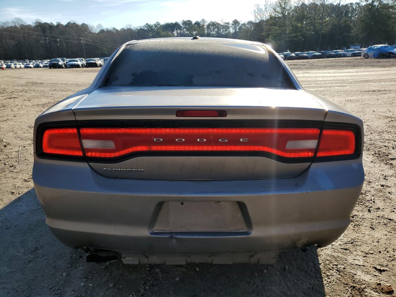 2013 Dodge Charger VIN 2C3CDXBG7DH730370 Copart auction photo, normal wear / minor dent/scratches damage thumbnail 6