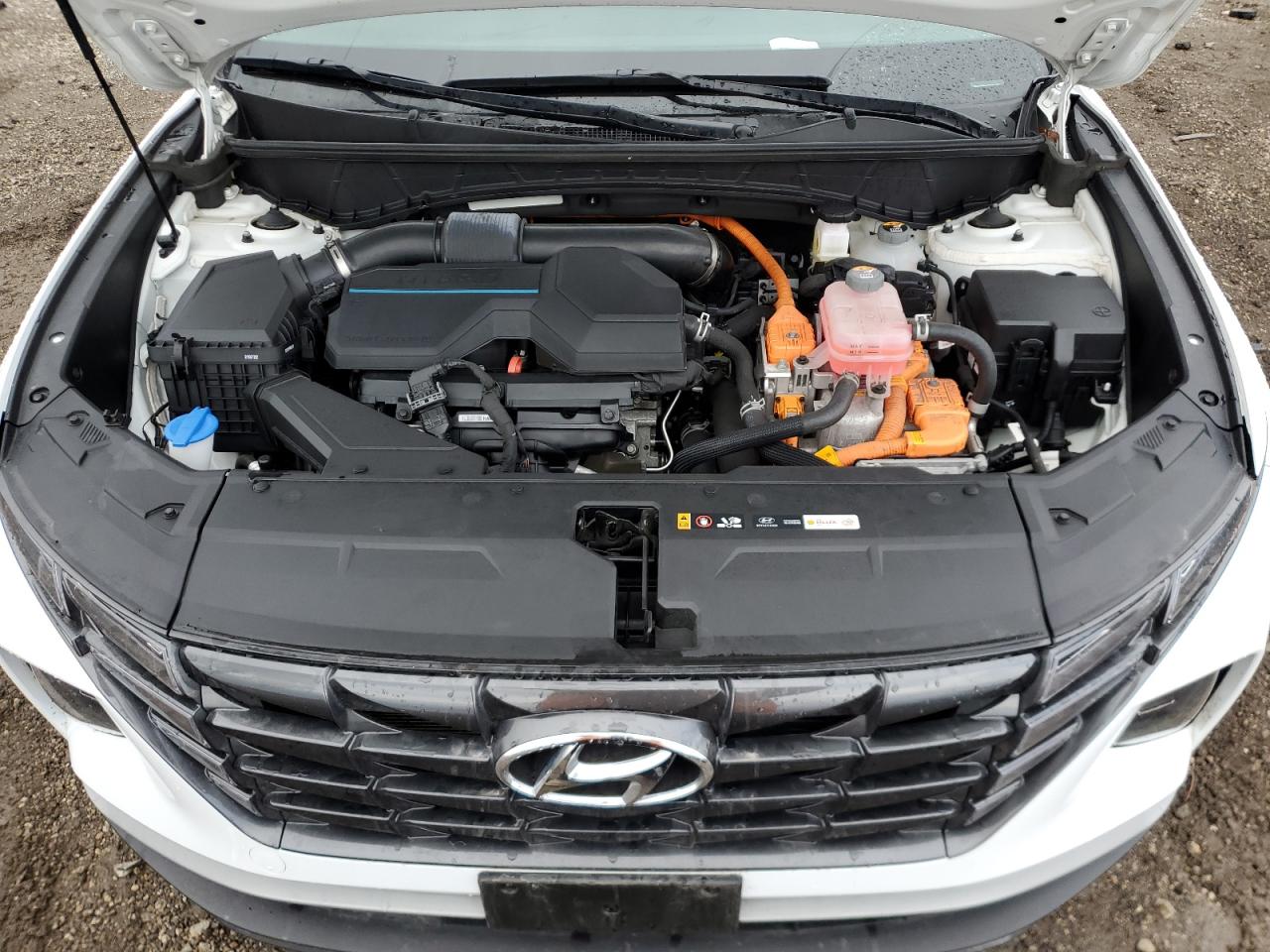 2022 Hyundai Tucson VIN KM8JBCA10NU029999 Copart auction photo, rear end damage thumbnail 12