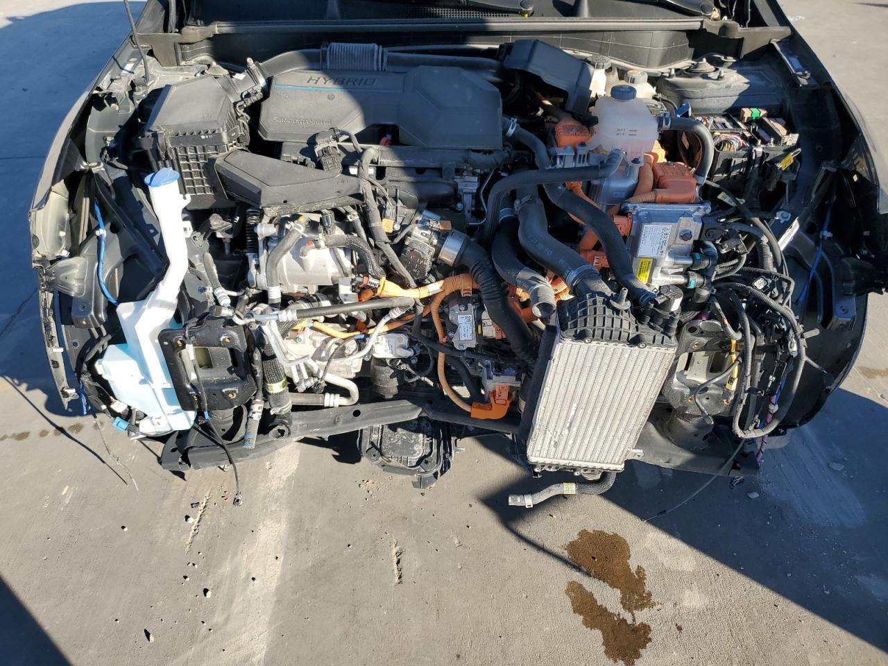 2023 KIA Sportage VIN KNDPXCAGXP7076317 Copart auction photo, front end / side damage thumbnail 12