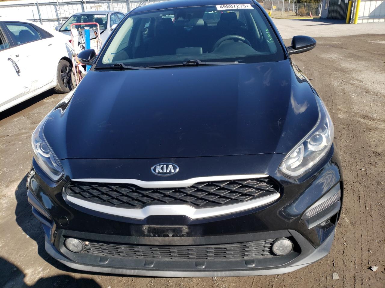 2019 KIA Forte VIN 3KPF24AD7KE047565 Copart auction photo, rear end damage thumbnail 5