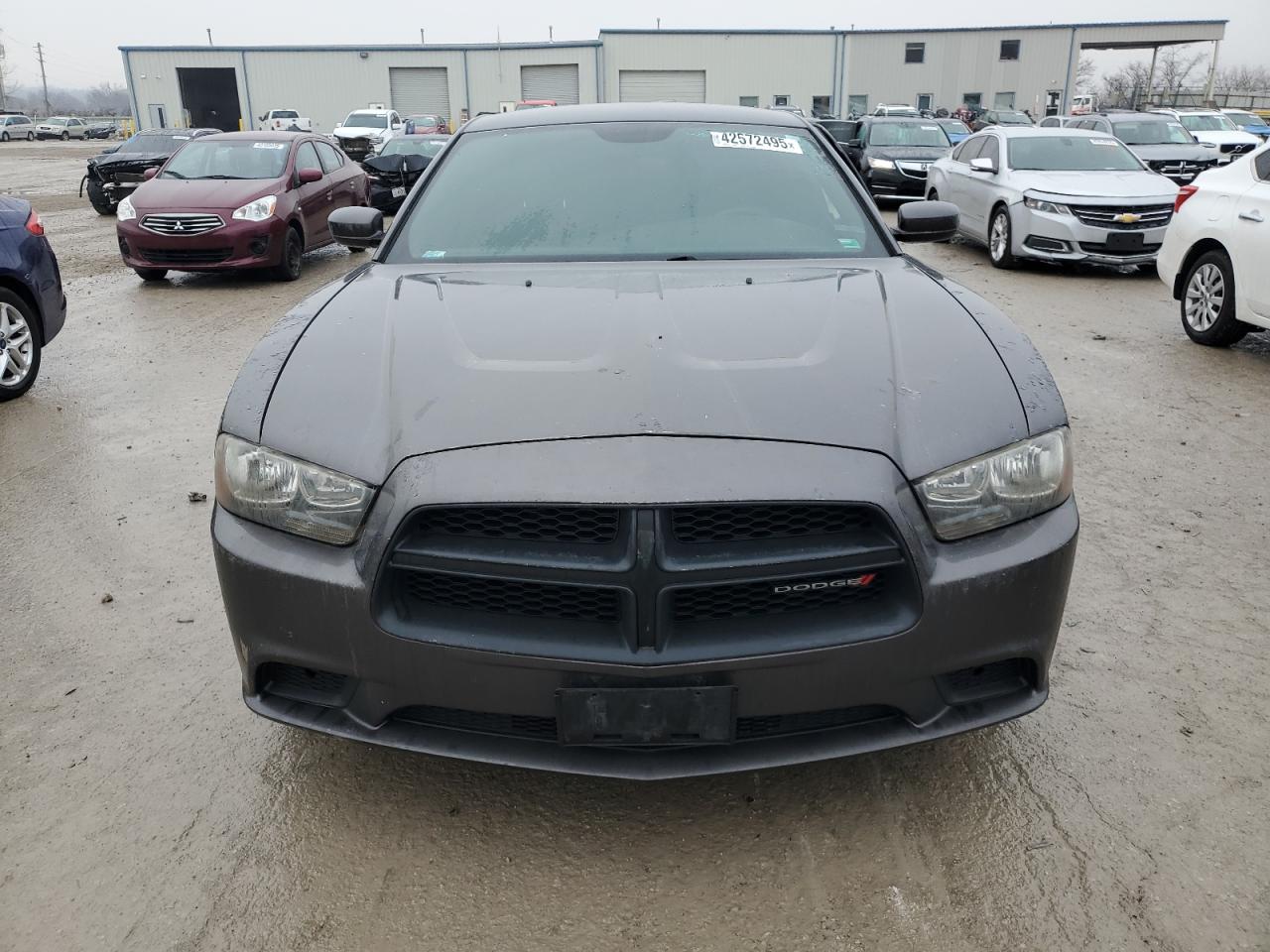2014 Dodge Charger VIN 2C3CDXAG1EH207879 Copart auction photo, side / rear end damage thumbnail 5
