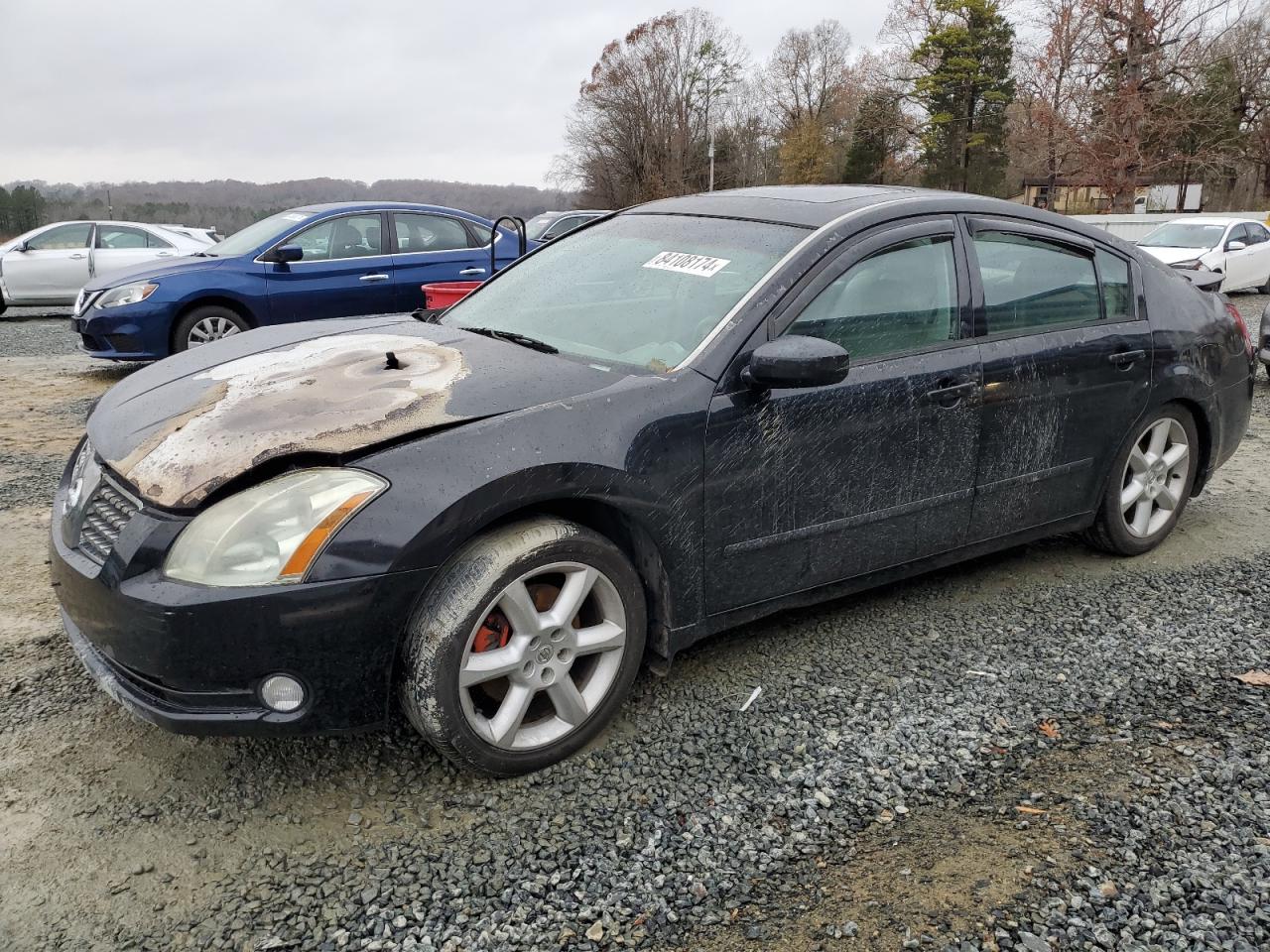 2005 Nissan Maxima VIN 1N4BA41E45C827163