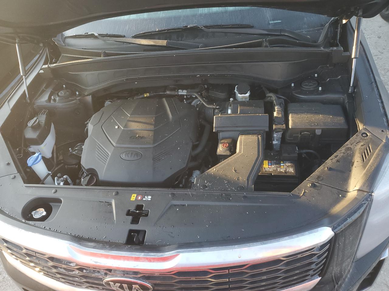 2021 KIA Telluride VIN 5XYP34HC5MG149659 Copart auction photo, water/flood damage thumbnail 11