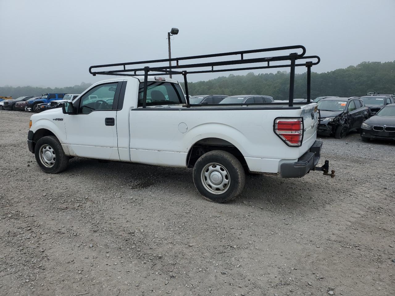 2011 Ford F-150 VIN 1FTMF1CM7BKD82166 Copart auction photo, side damage thumbnail 2