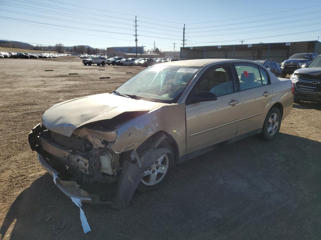 2004 Chevrolet Malibu VIN 1G1ZT52854F120791