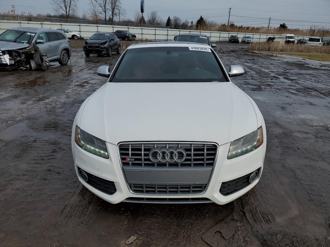 2008 Audi RS5 VIN WAURV78T38A032816 Copart auction photo, rear end damage thumbnail 5