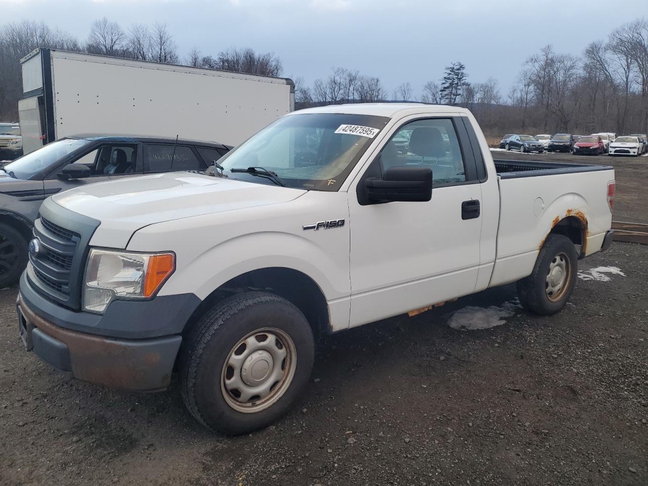 2013 Ford F-150 VIN 1FTMF1CM2DKD10438