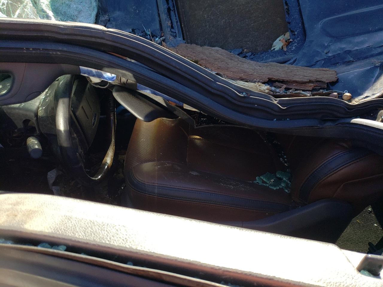 2015 Ford F250 VIN 1FT7W2BT0FEB74887 Copart auction photo, top/roof damage thumbnail 7