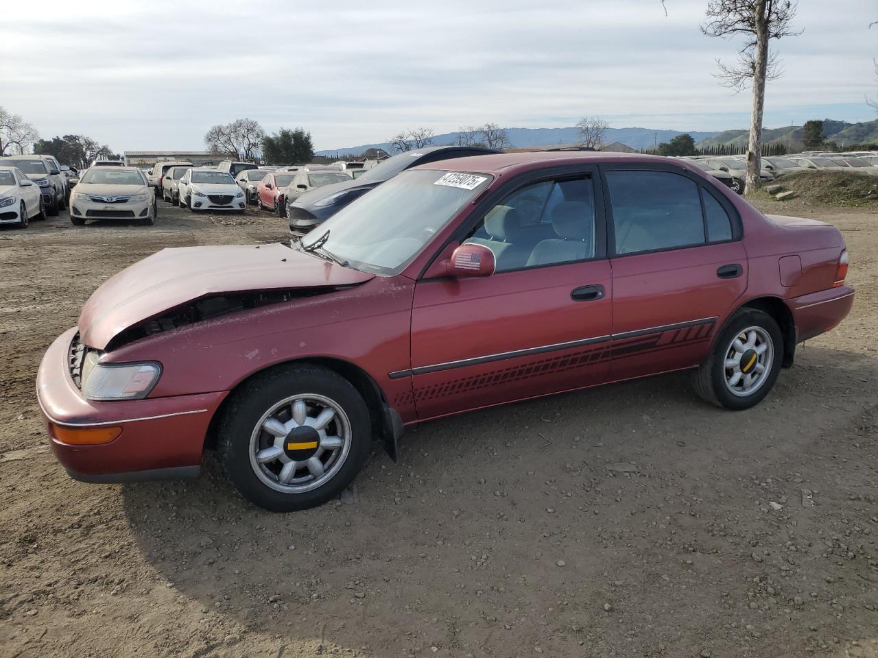1997 Toyota Corolla VIN 1NXBB02E1VZ633551