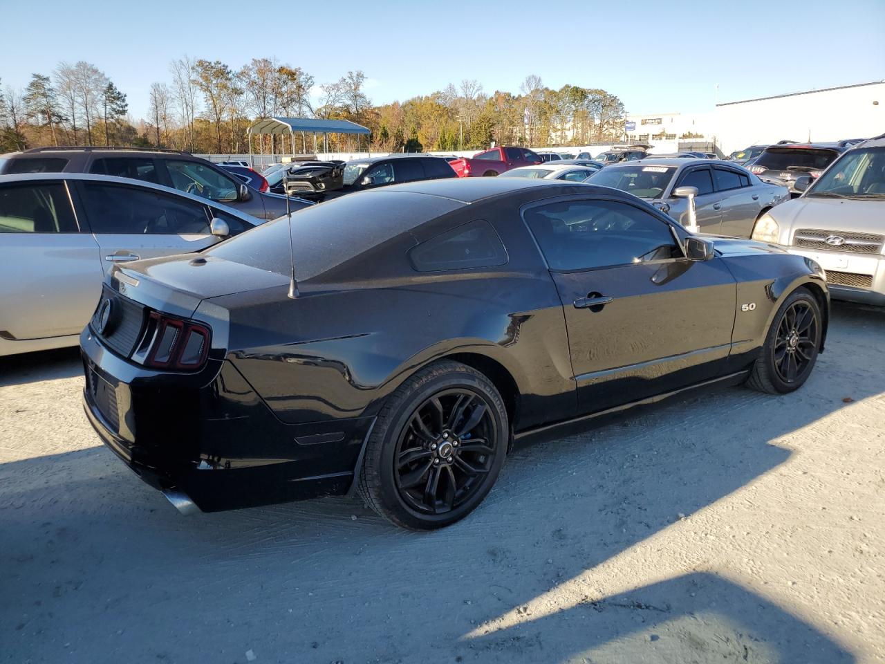 2013 Ford Mustang VIN 1ZVBP8CF0D5200627 Copart auction photo, side damage thumbnail 3