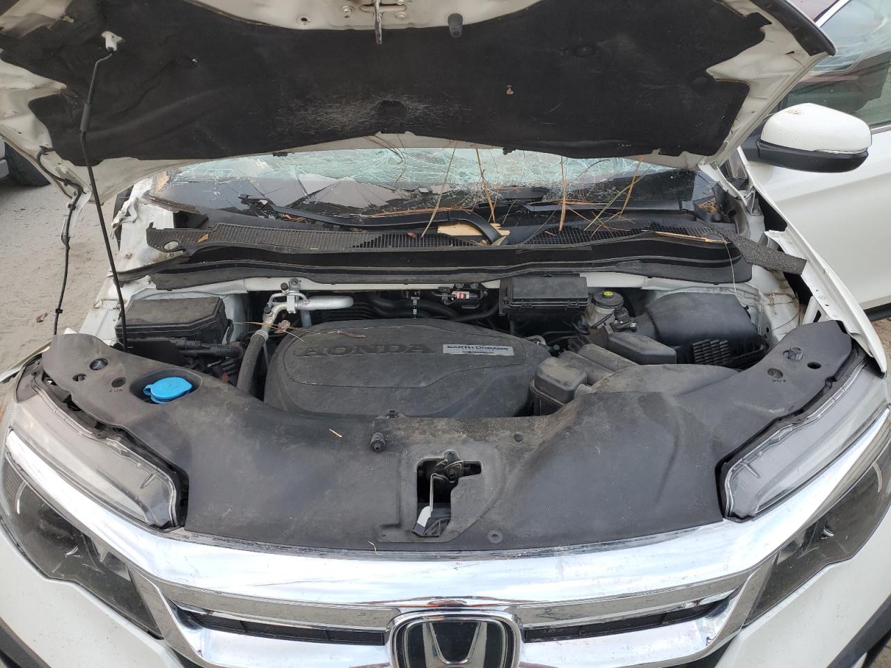 2019 Honda Pilot VIN 5FNYF5H57KB037825 Copart auction photo, all over damage thumbnail 12