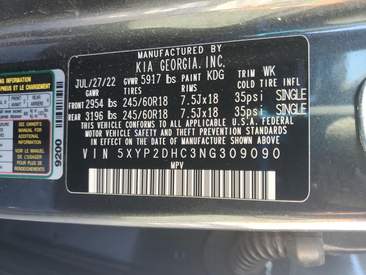 2022 KIA Telluride VIN 5XYP2DHC3NG309090 Copart auction photo, side / minor dent/scratches damage thumbnail 13