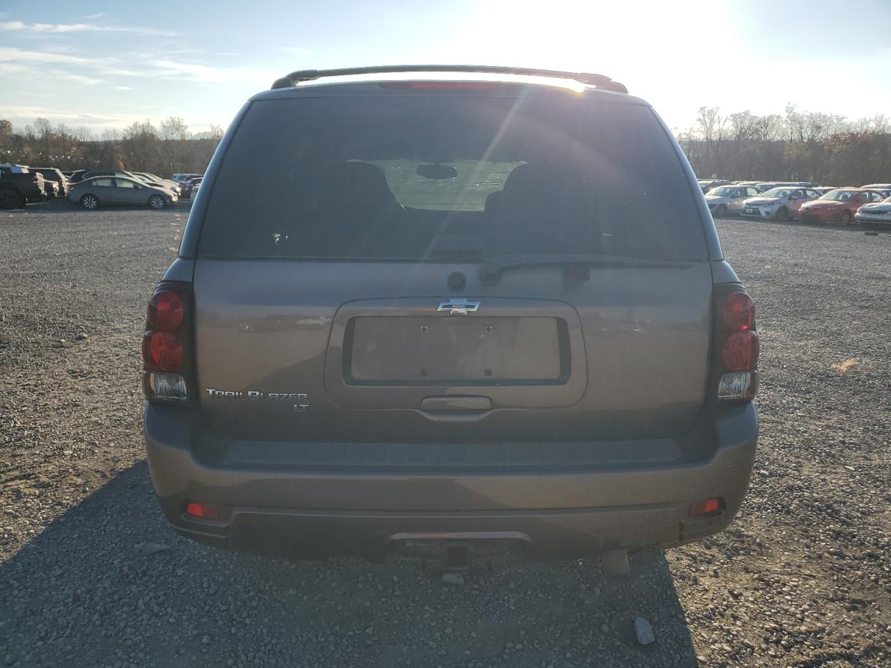 2008 Chevrolet TrailBlazer VIN 1GNDT13S982123587 Copart auction photo, partial repair / mechanical damage thumbnail 6