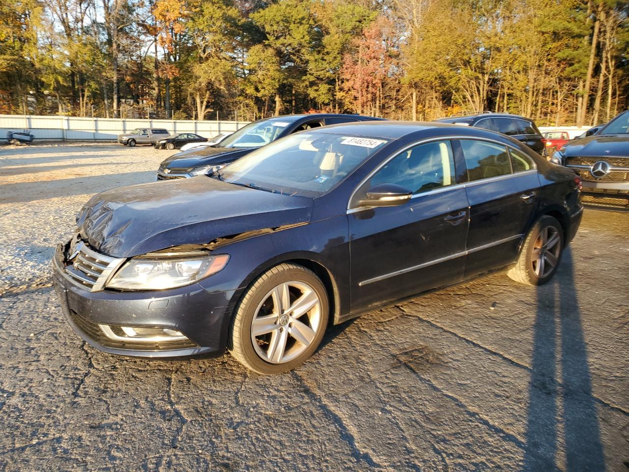 2014 Volkswagen Passat CC VIN WVWBP7AN5EE534273