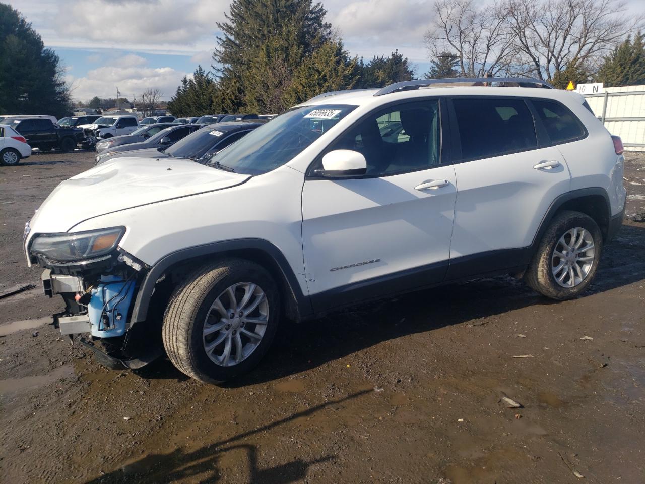 2020 Jeep Grand Cherokee VIN 1C4PJLCCB7LD61029