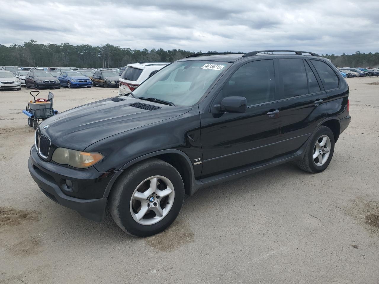 2006 BMW X5 VIN 5UXFA13516LY41495