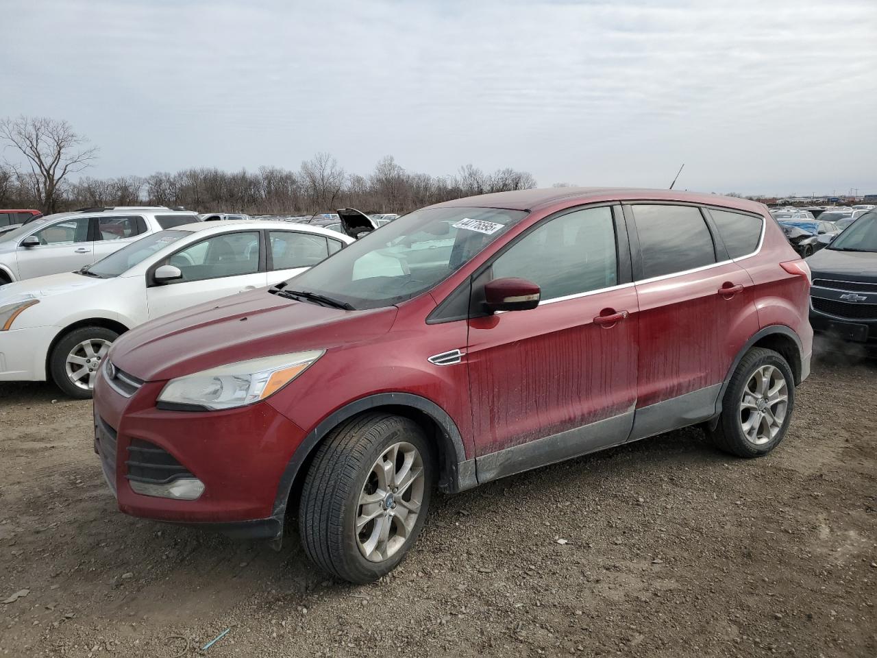 2013 Ford Escape VIN 1FMCU9HX9DUC70586