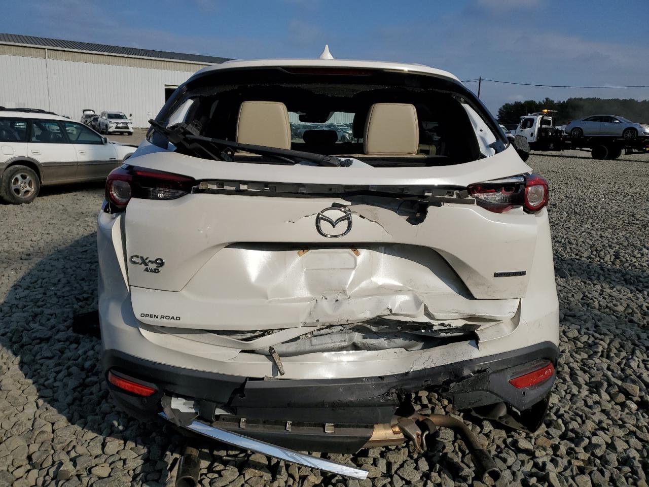2020 Mazda CX-9 VIN JM3TCBDY2L0418765 Copart auction photo, rear end damage thumbnail 6