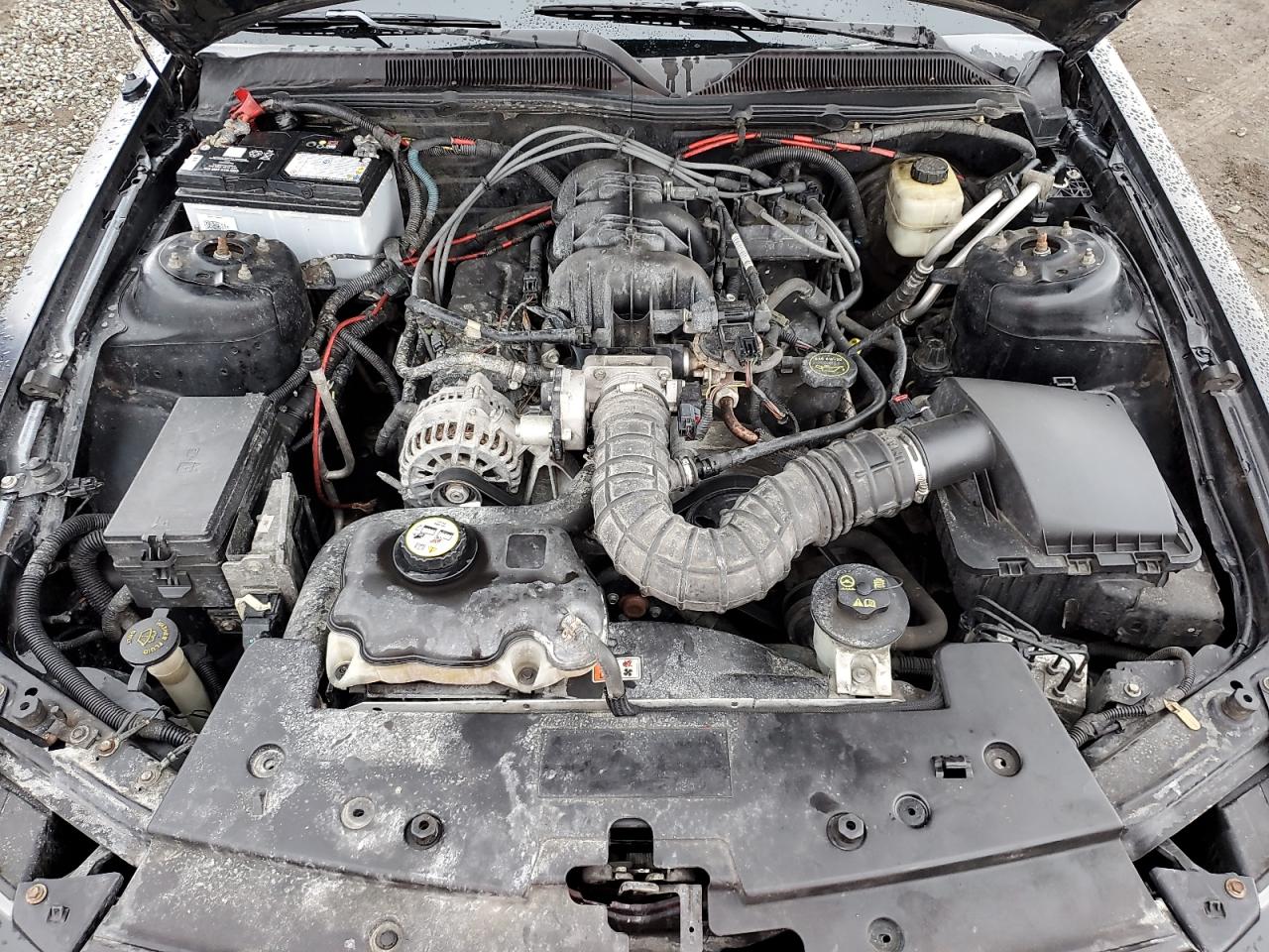 2008 Ford Mustang VIN 1ZVHT84N185177814 Copart auction photo, mechanical / minor dent/scratches damage thumbnail 11