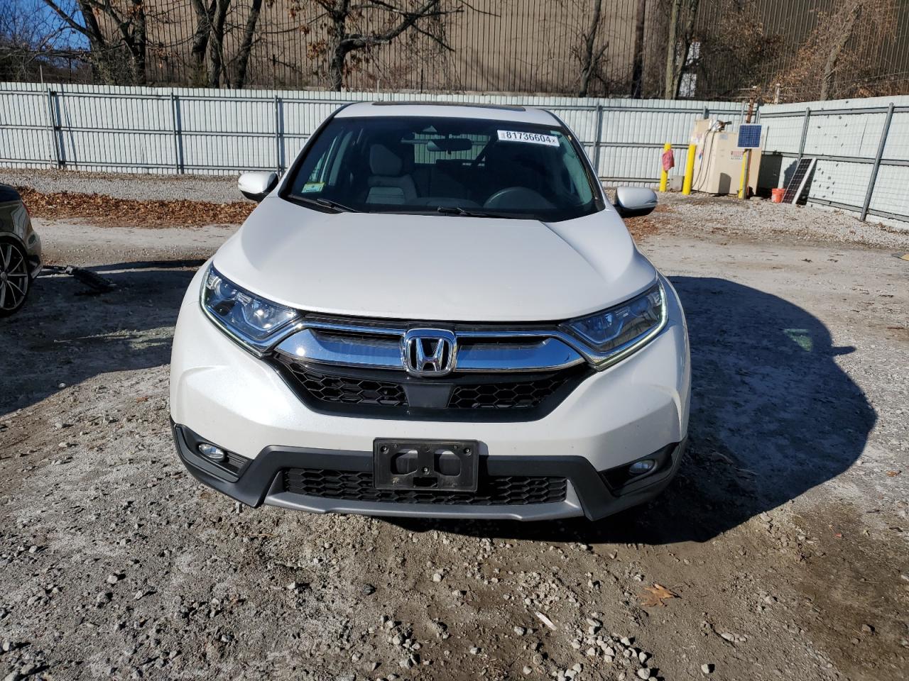 2019 Honda CR-V VIN 2HKRW2H56KH638681 Copart auction photo, side damage thumbnail 5