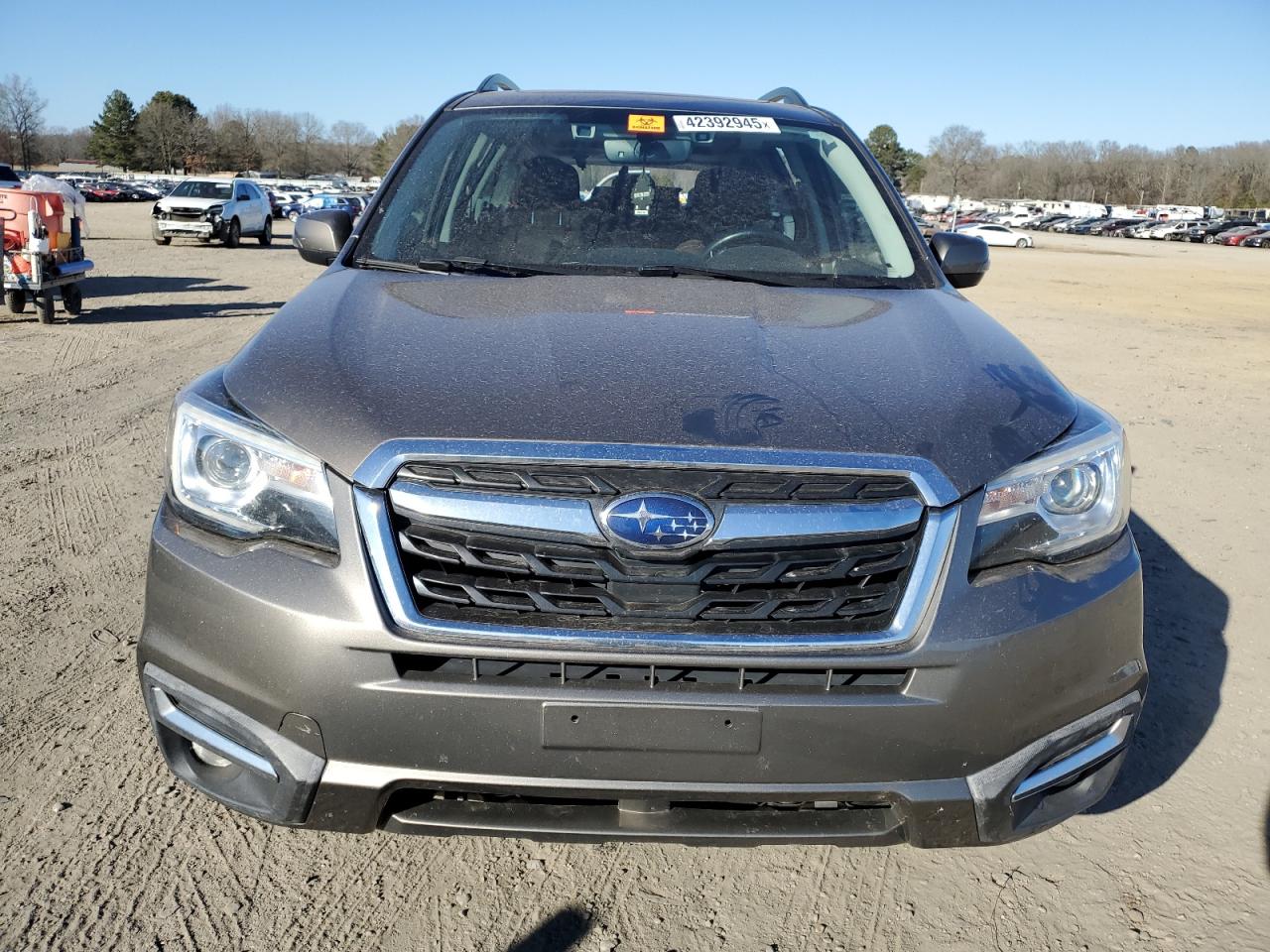 2017 Subaru Forester VIN JF2SJAWC1HH811429 Copart auction photo, rear end / minor dent/scratches damage thumbnail 5